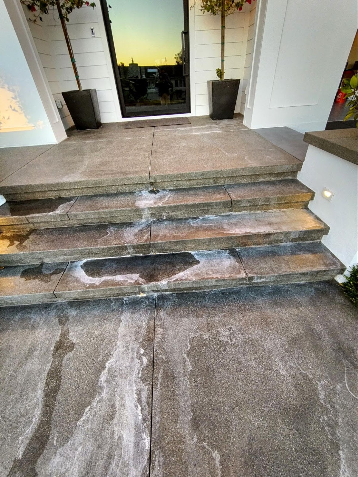 Front entry irrigation damage — October 2023