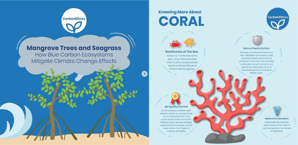 Educational campaign to protect coral, mangrove, and seagrass. Restore Indonesia coral reef, Indonesia coral reef, restore coral reef. CarbonEthics Indonesia