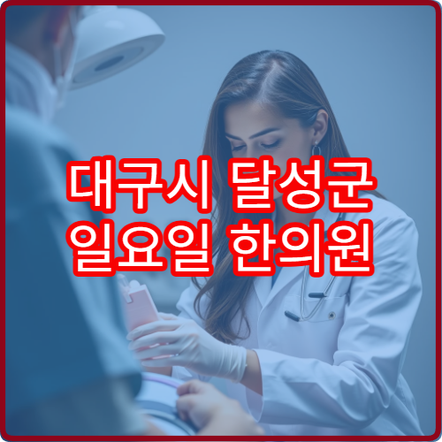 대구시 달성군 일요일 한의원 진료 가능한 병원 리스트