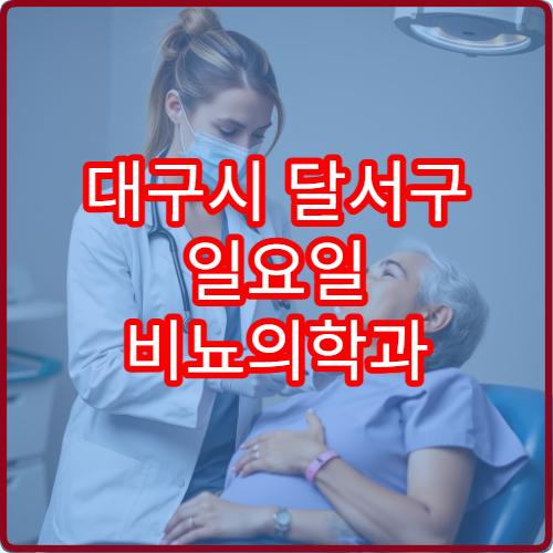 대구시 달서구 일요일 비뇨의학과 진료 가능한 병원 정리본