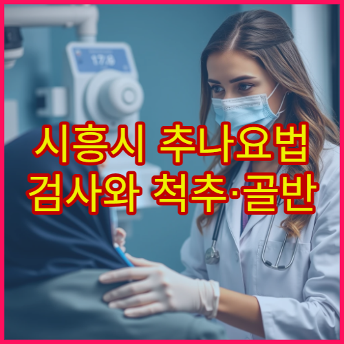 시흥시 추나요법 검사와 척추·골반 교정 치료 가능한 병원