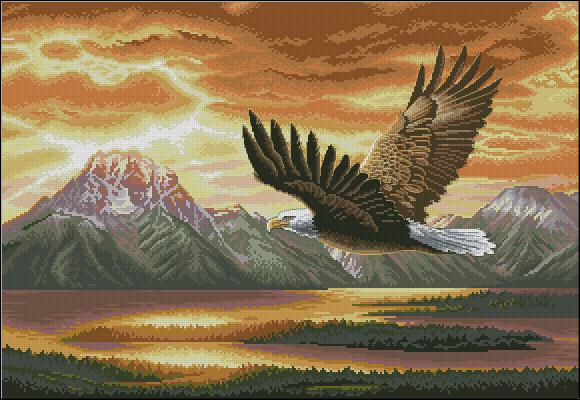 CMP 360075 Eagle