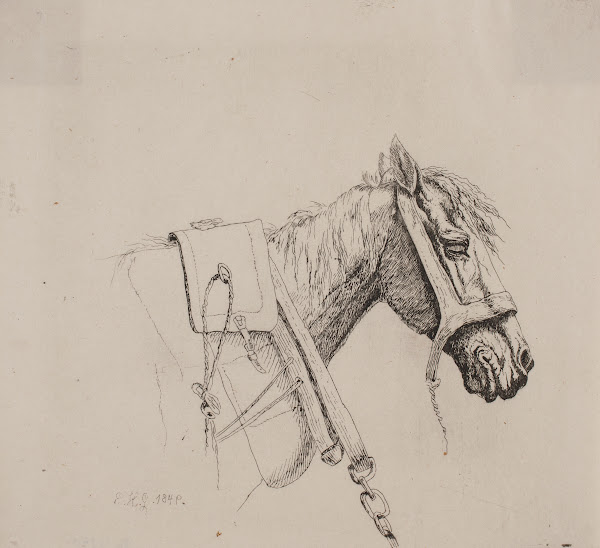 Et hestehoved 1848  1849