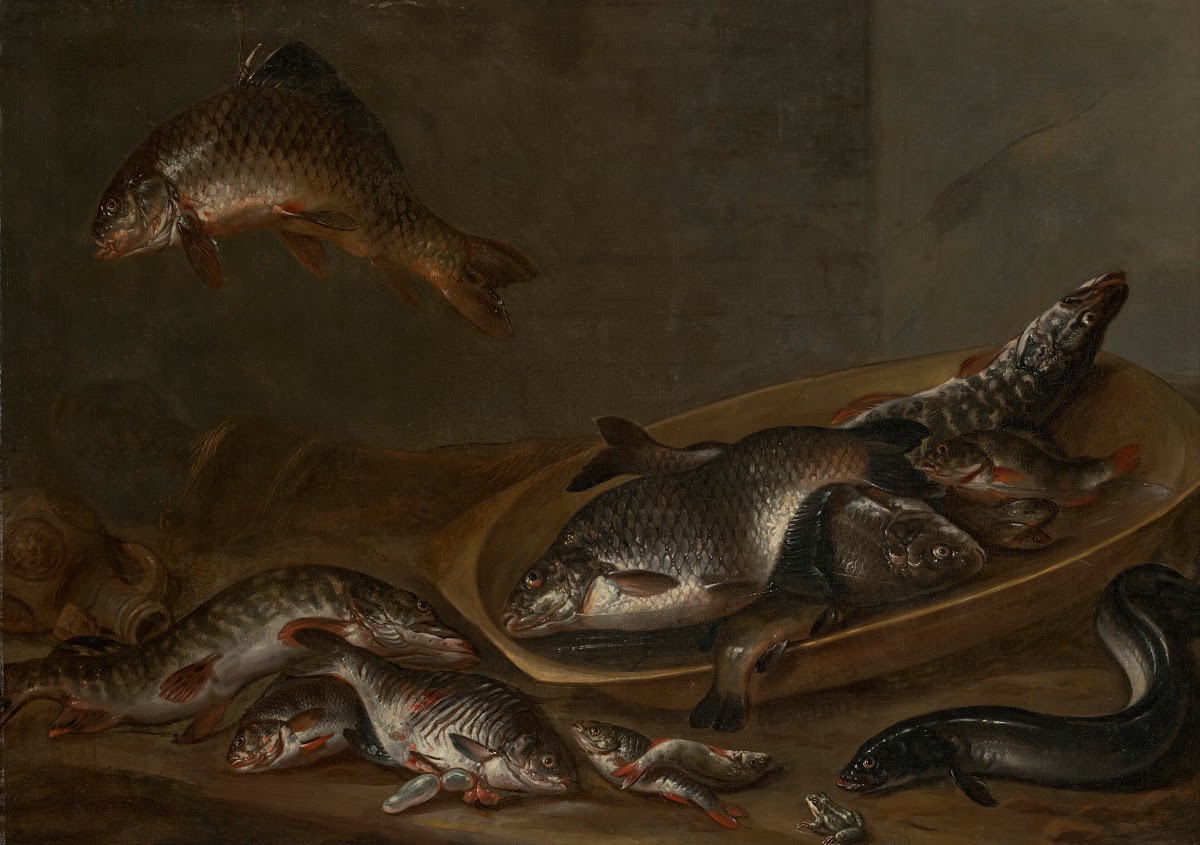 Freshwater fish an eel and a frog on a table