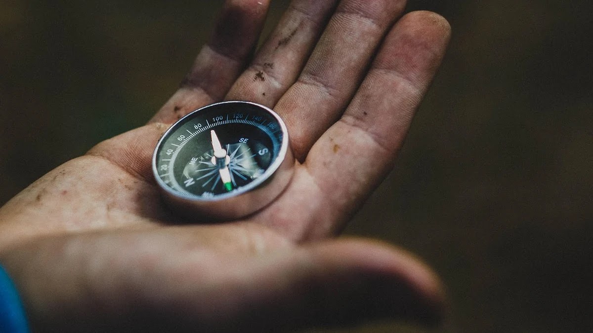 교육 제도별 진로 탐색 방법과 개인 맞춤 커리어 설계 가이드