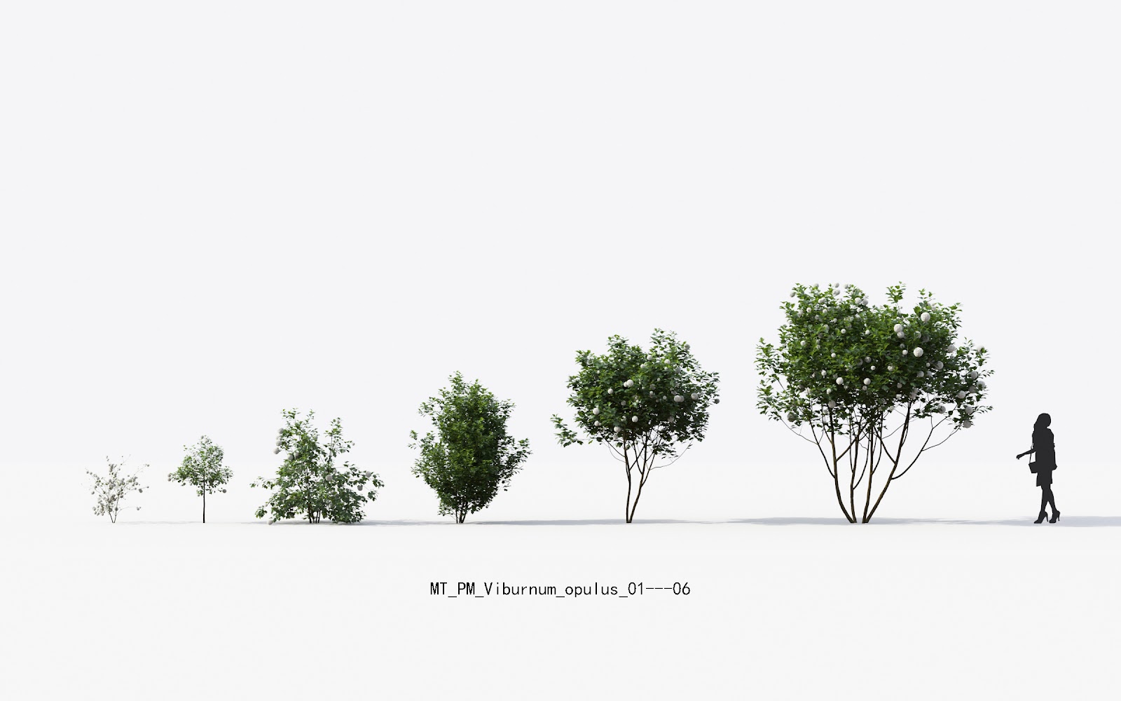 Maxtree - Plant Models Vol.13