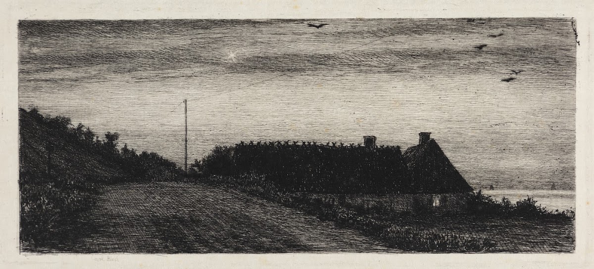 Huse ved stranden Sommernat 1884