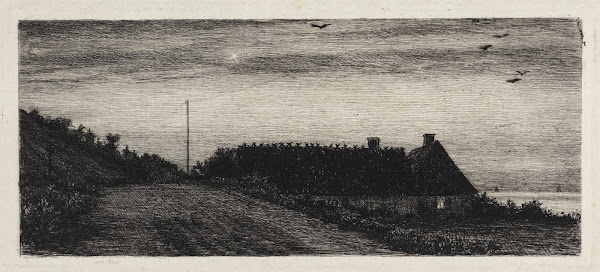 Huse ved stranden Sommernat 1884