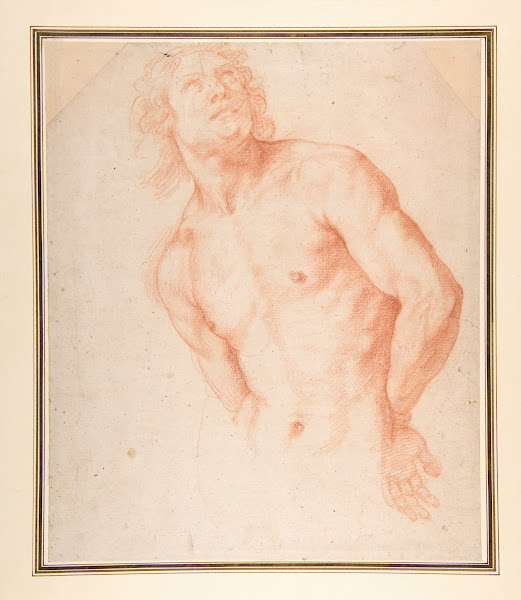 Half Figure of a Male Nude with Arms behind Back 15851644