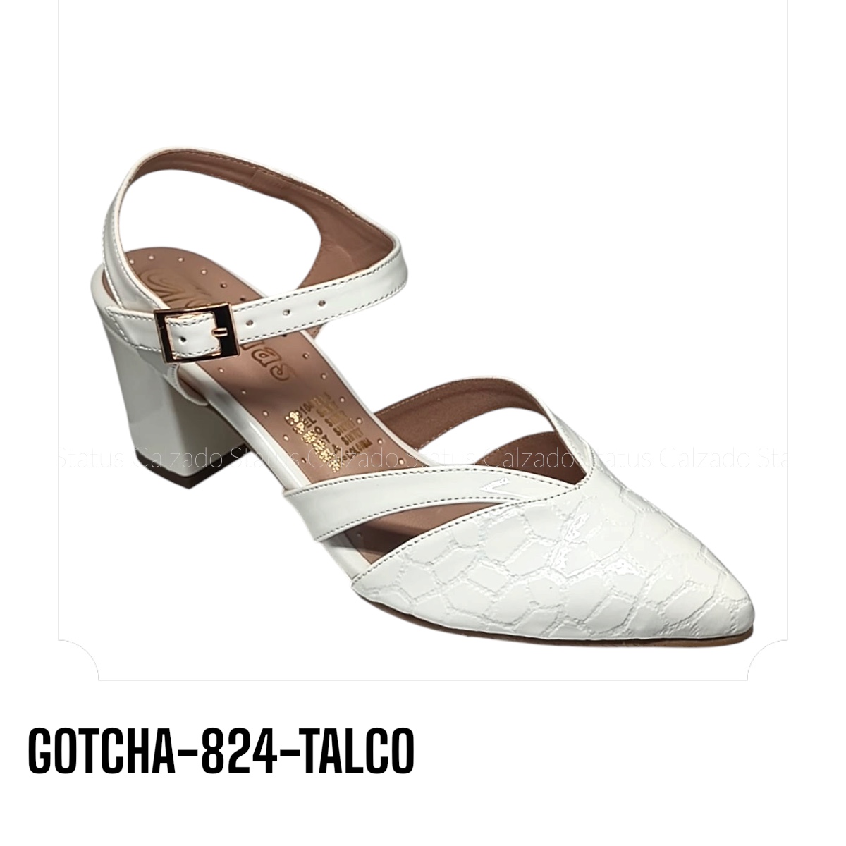 GOTCHA-824-TALCO