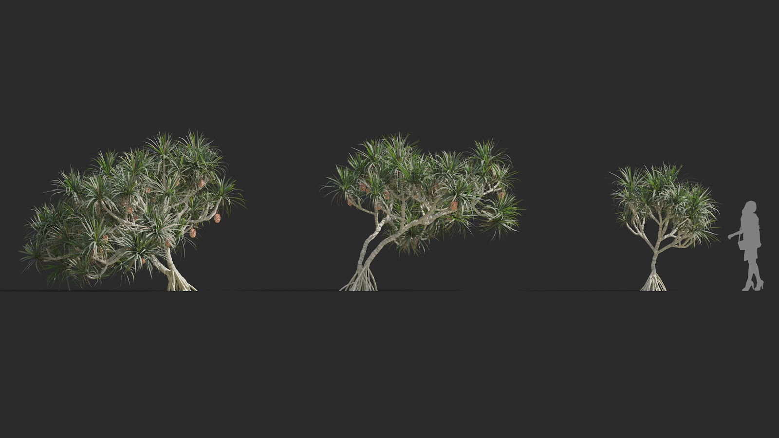 Maxtree - Plant Models Vol.72
