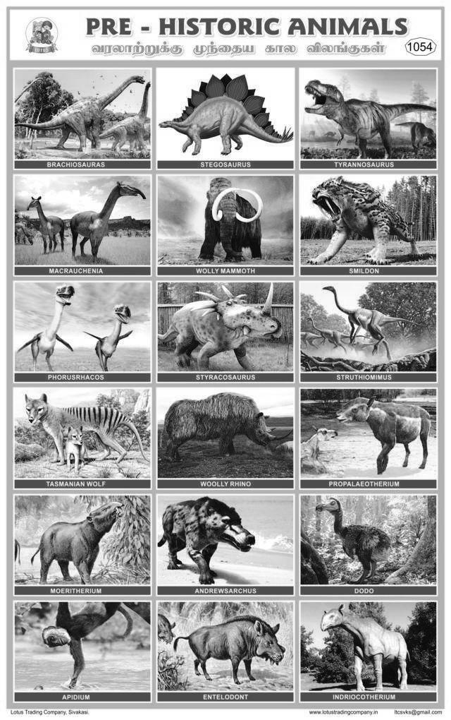 1054. Pre Historic Animals