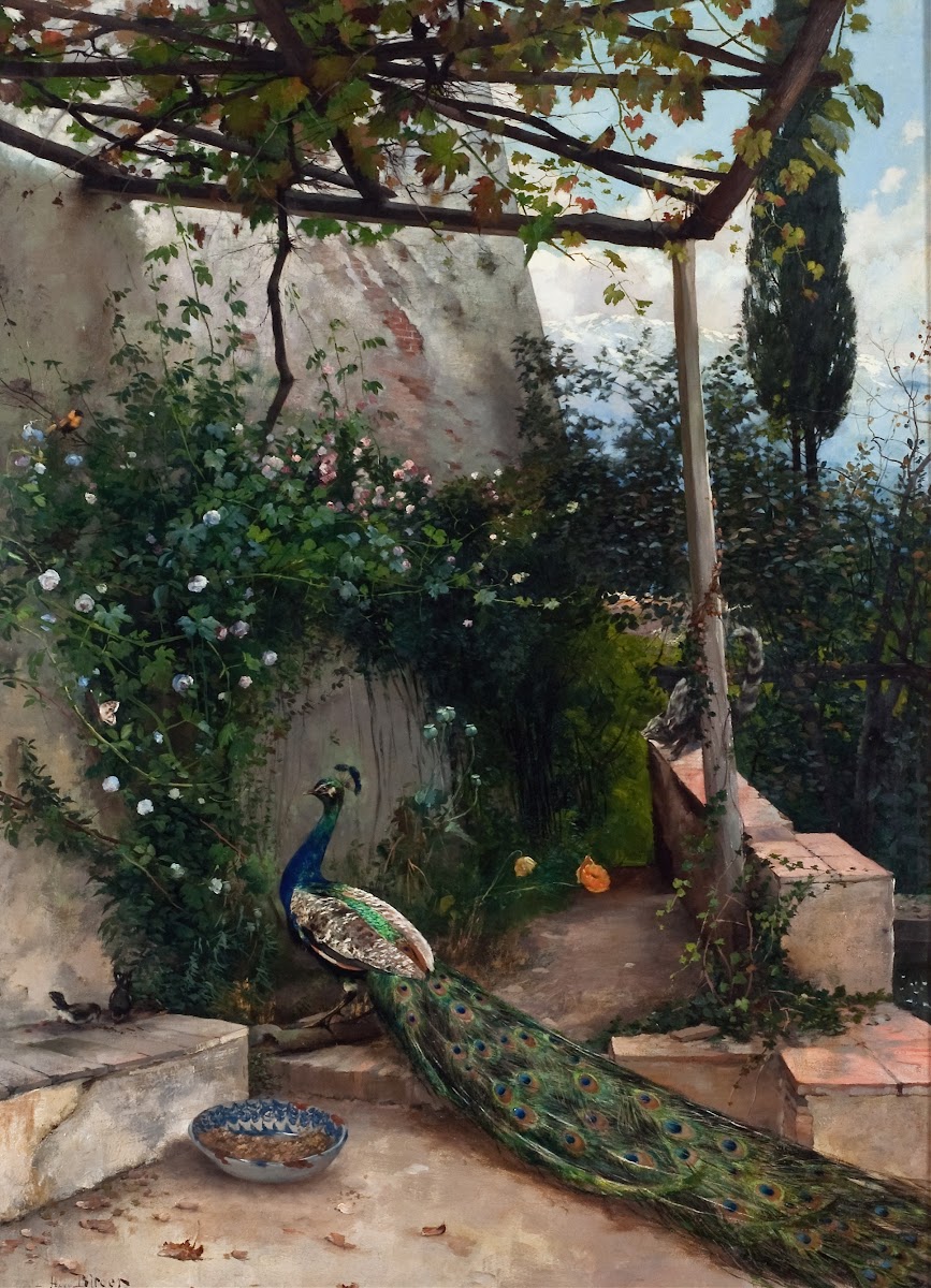 Terrace with Peacock the Alhambra 1884
