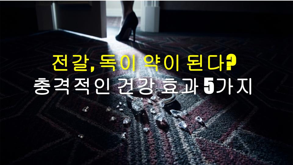 전갈, 독이 약이 된다? 충격적인 건강 효과 5가지
