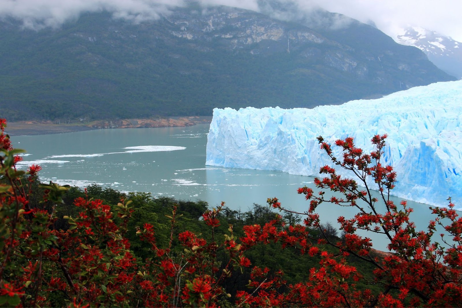 Perito Moreno Glacier