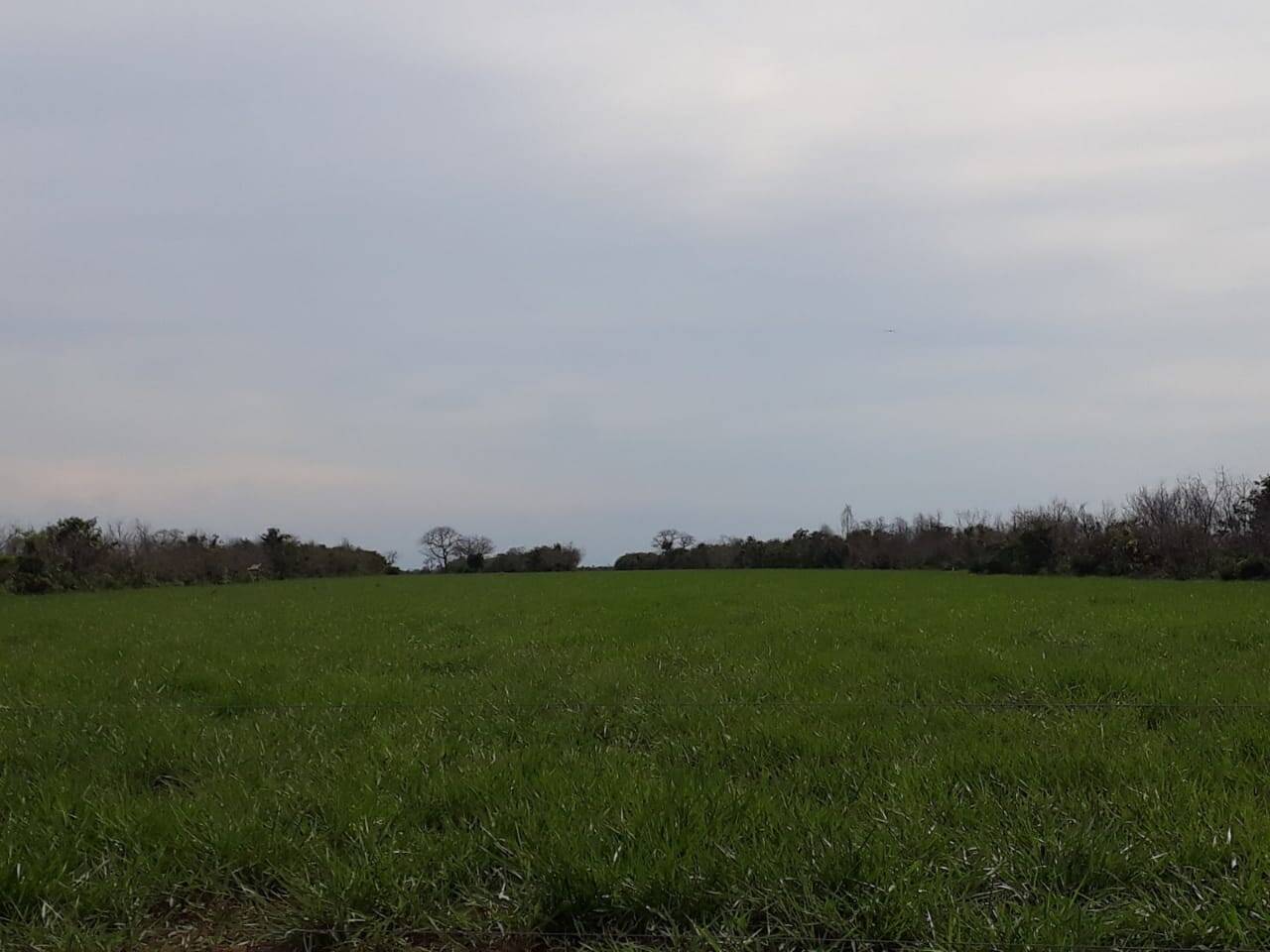 Fazenda em Alto boa Vista - MT 4