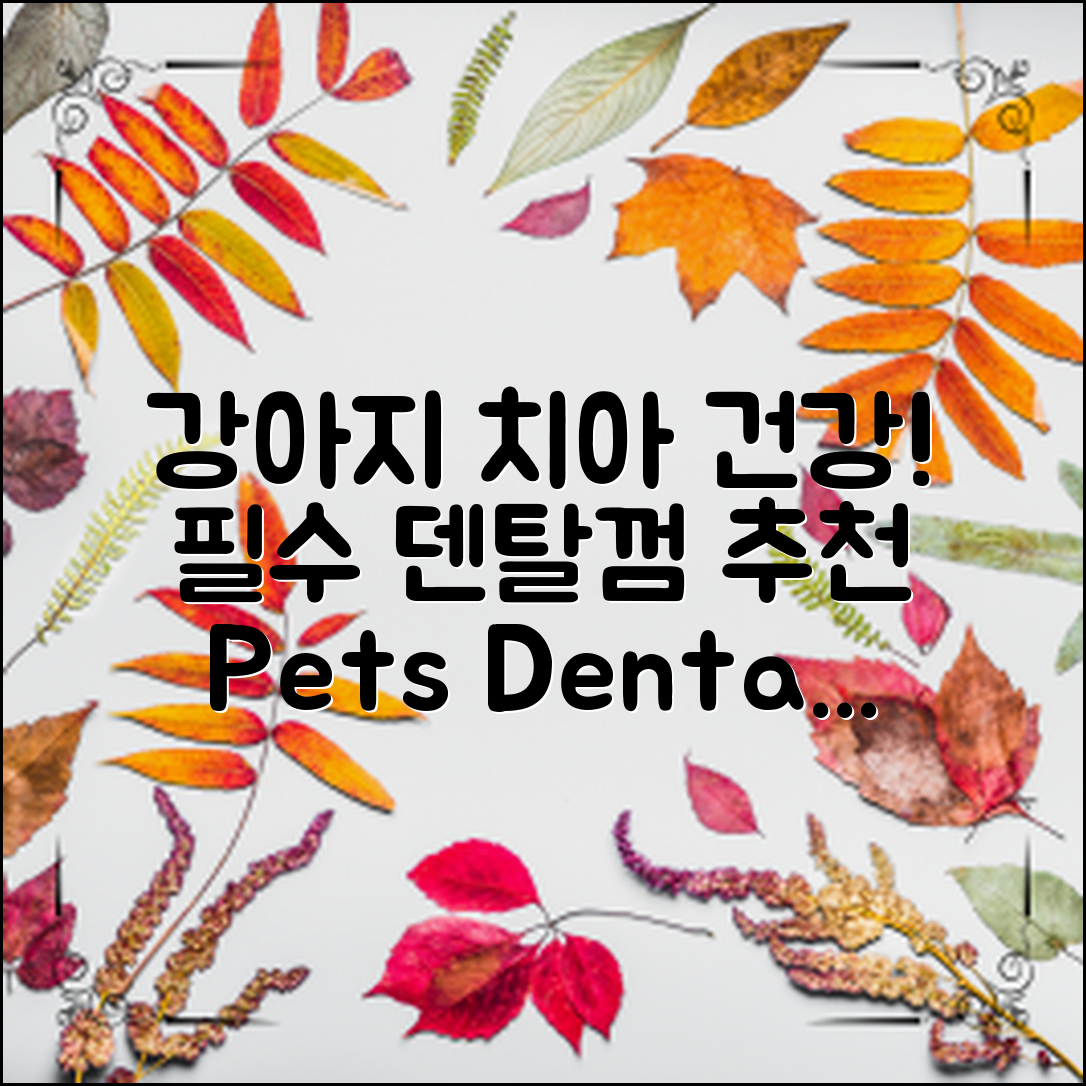 강아지덴탈껌추천 - 애견 치아 건강을 위한 필수 아이템!