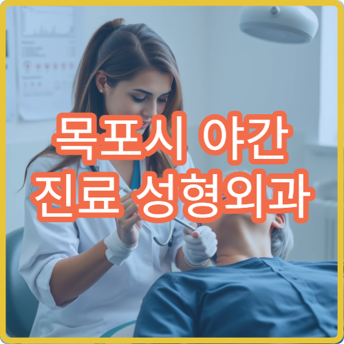 목포시 야간 진료 성형외과 병원 흉터·피부종양 상담 가능한 늦은 시간 병원