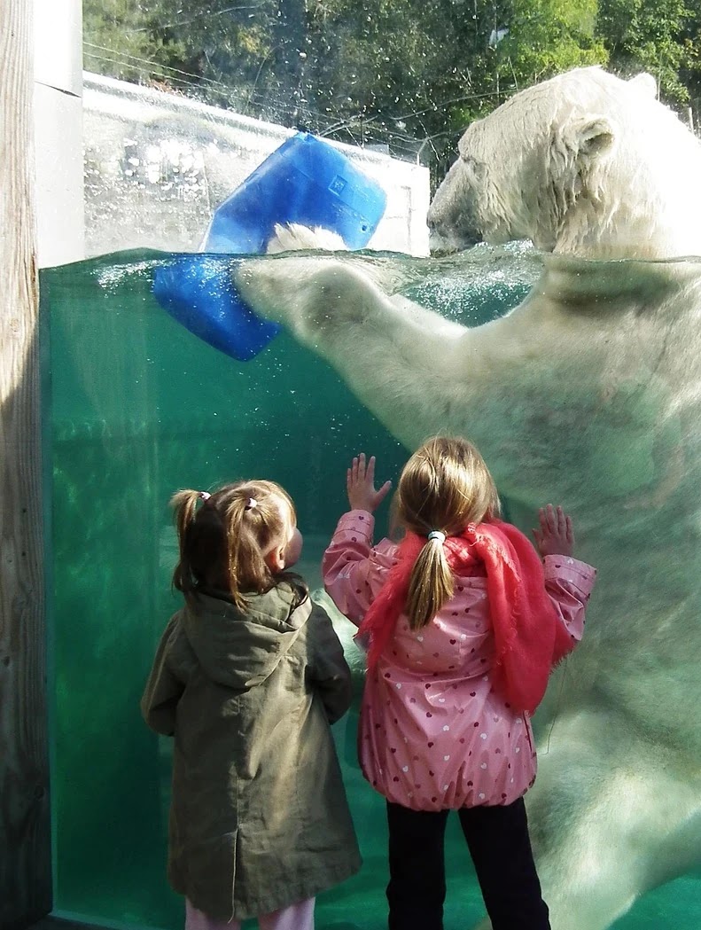 상업용 부동산 투자 시 활용 가능한 대출상품 비교와 조건별 전략