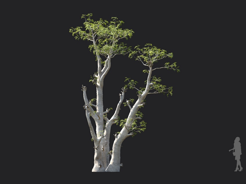 Maxtree - Plant Models Vol.130
