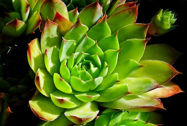 중학교 수학 일차함수 실생활 활용 완전정리