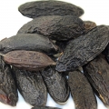 Tonka beans