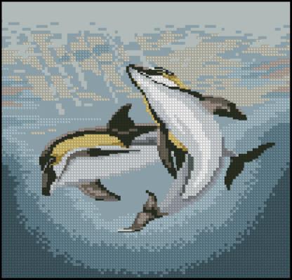 CMP 290038 Dolphin Duo