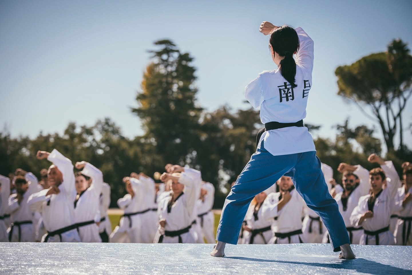 Federazione Italiana Taekwondo — attività e gare