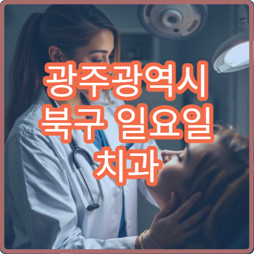 광주광역시 북구 일요일 치과 진료 가능한 곳 찾기