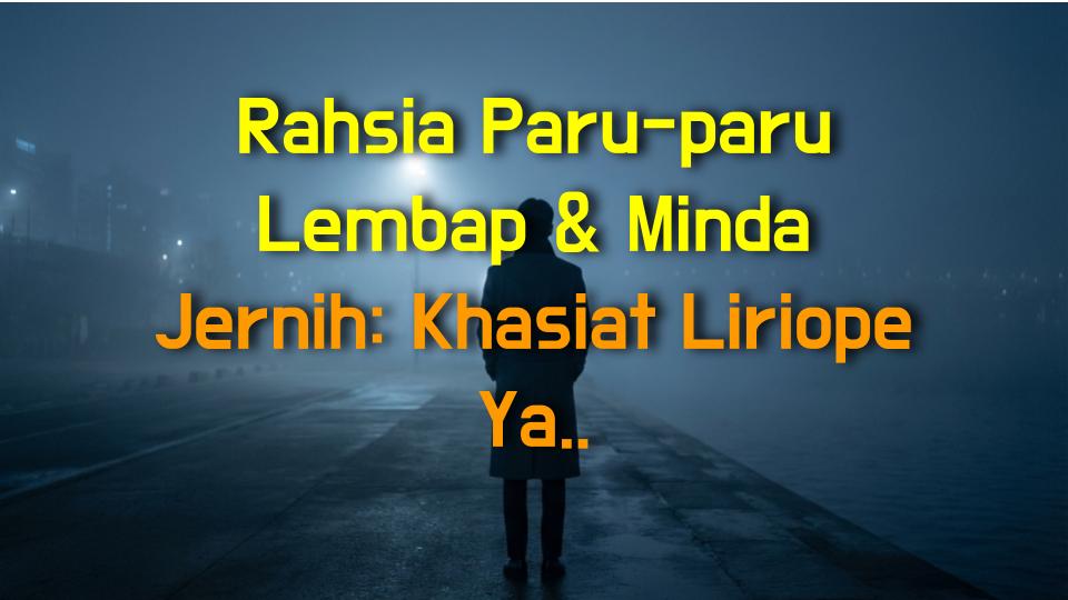Rahsia Paru-paru Lembap & Minda Jernih: Khasiat Liriope Yang Menakjubkan!