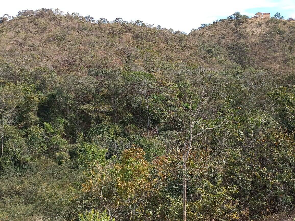 Chácara em Sobradinho dos Melos - DF 3