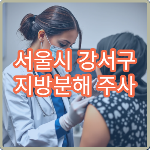 서울시 강서구 지방분해 주사 시술 비용·효과 안내 전문 피부과 병원