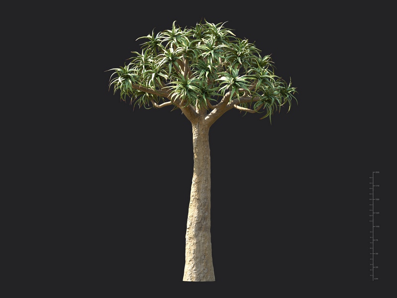 Maxtree - Plant Models Vol.130