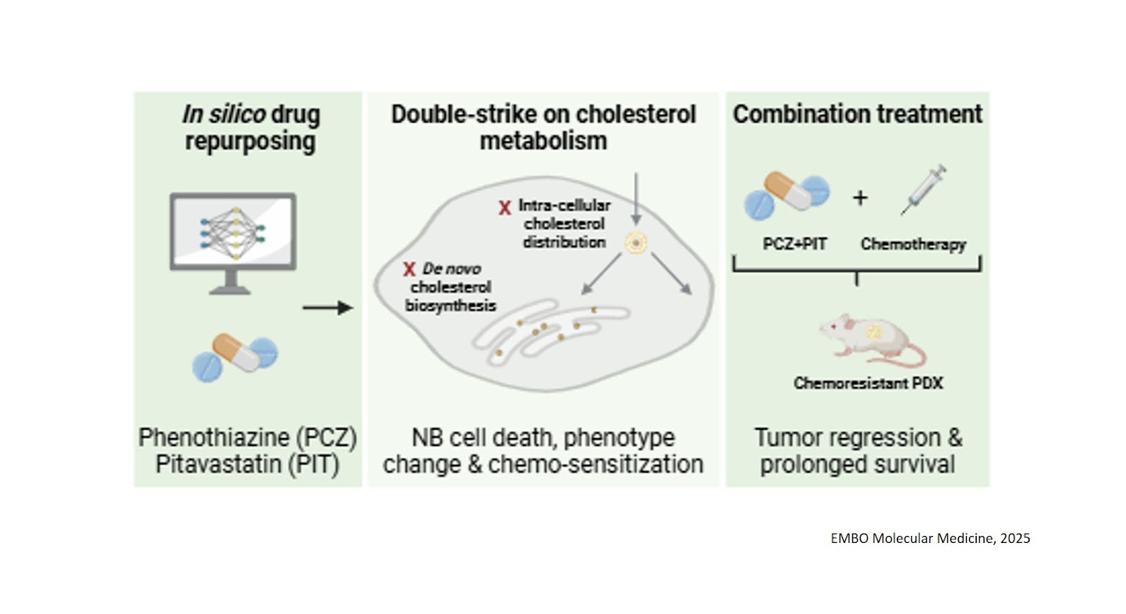 Repurposing statins and phenothiazines to treat chemoresistant neuroblastoma