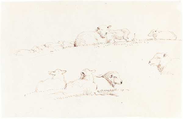 Studies of Sheep in Pasture c 1837 1839