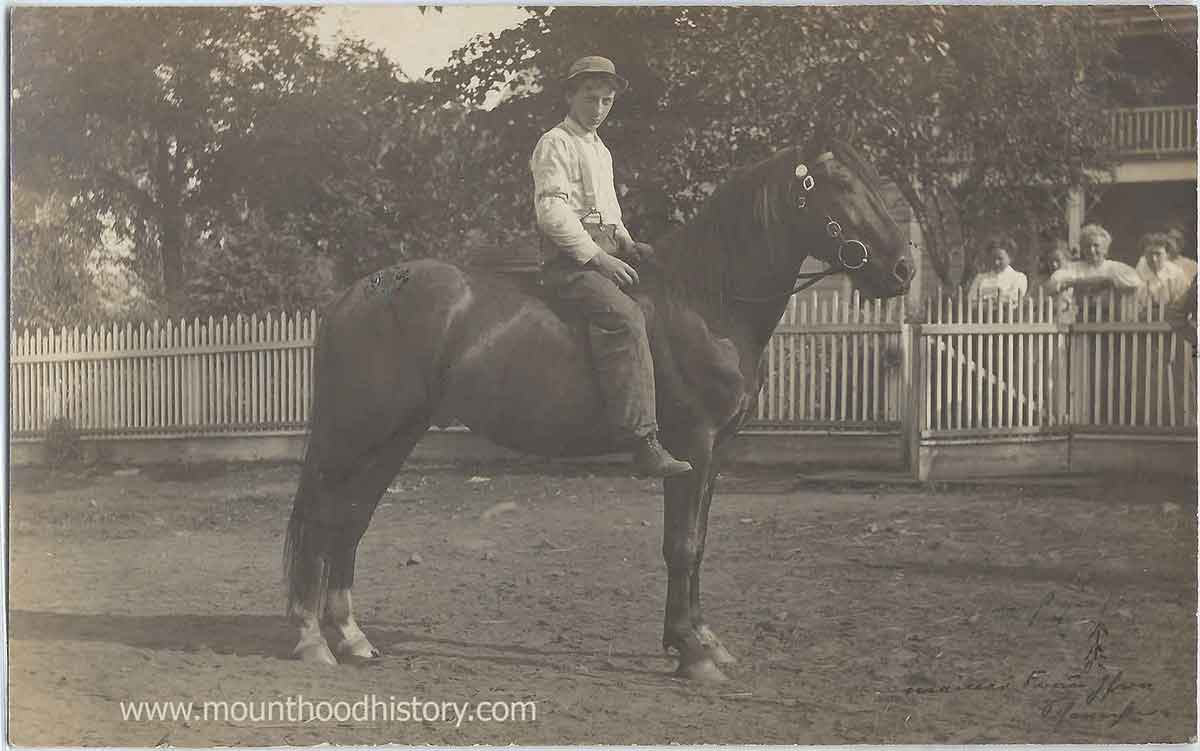 Aschoff's Mountain Home 