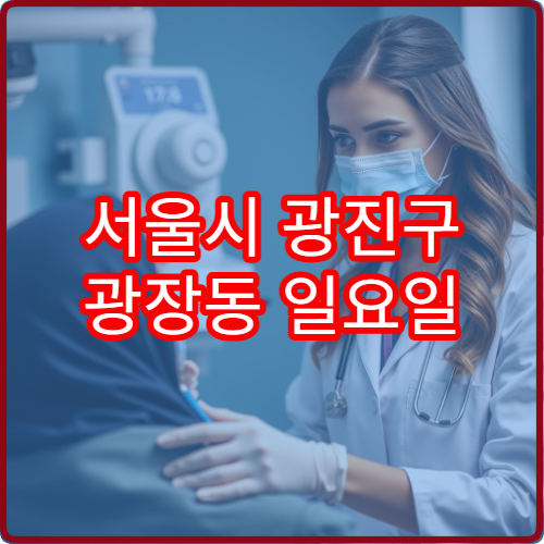 서울시 광진구 광장동 일요일 안과 진료 병원 찾기 공휴일 진료 안과 위치 안내
