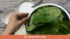 Rửa sạch lá sương sâm, vò lá sương sâm với ít nước, vắt lấy nước sương sâm và để đông lại.