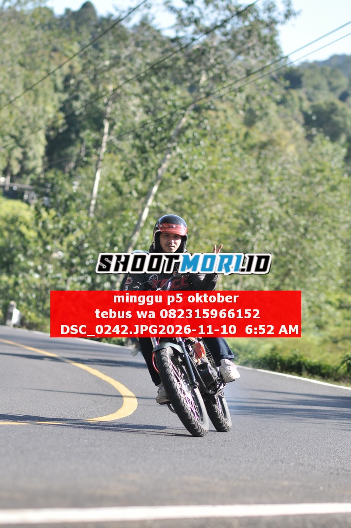 DSC_0242.JPG