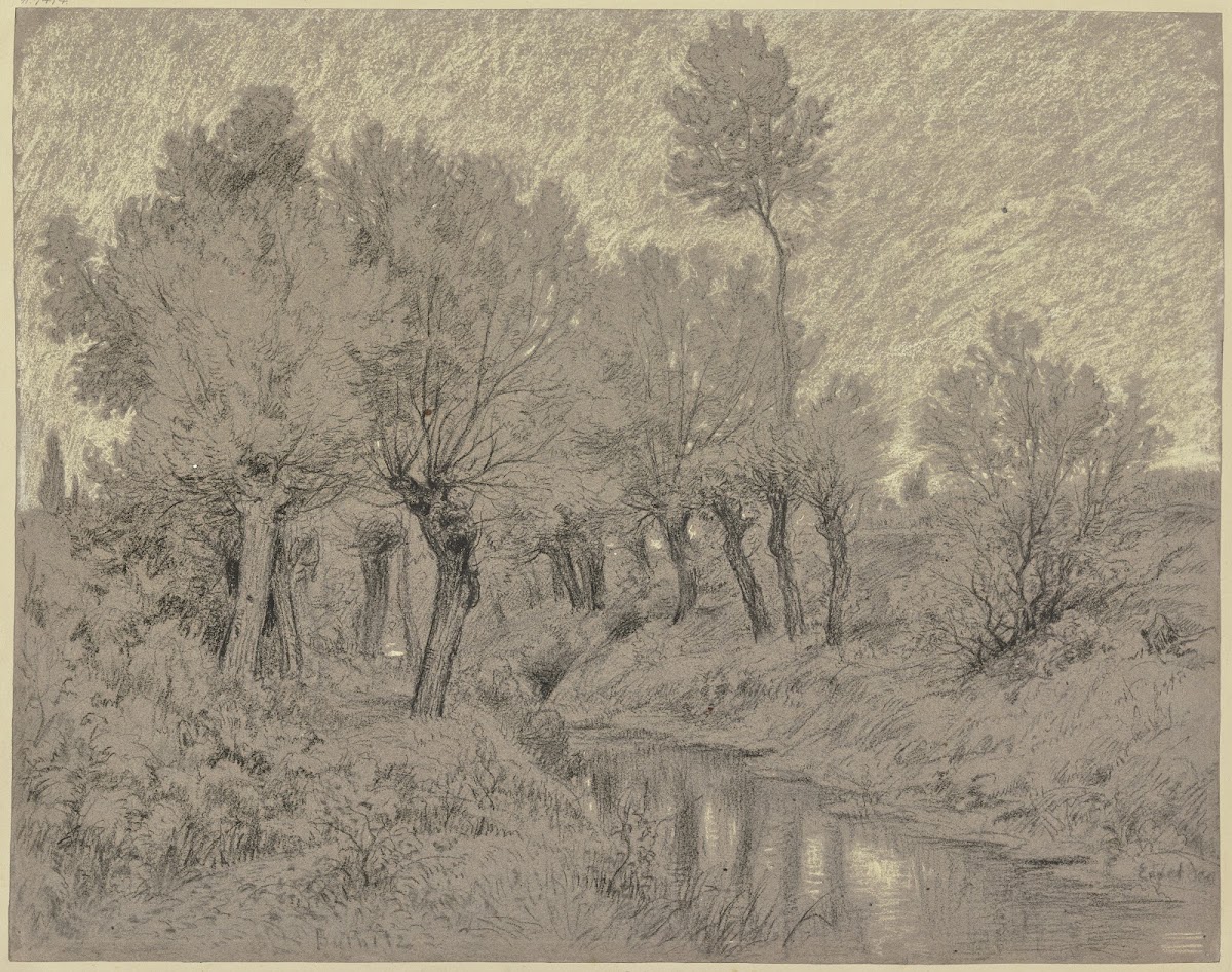 Willows at a stream