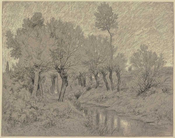 Willows at a stream