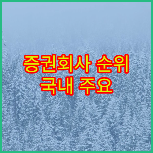 증권회사 순위 국내 주요 증권사 규모와 서비스 비교 정리