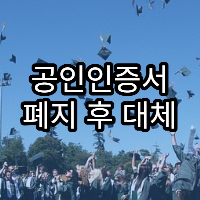 공인인증서 폐지 후 대체 인증 수단