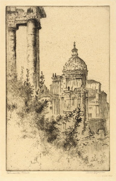 Columns Roman Forum 1913