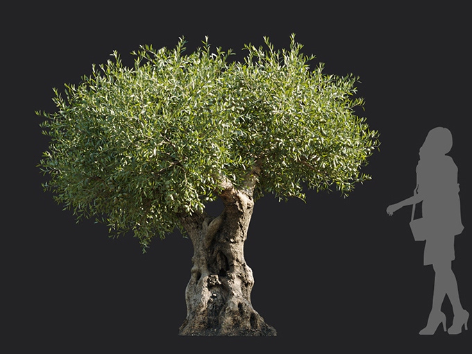 Maxtree - Plant Models Vol.113
