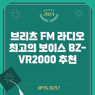 브리츠 FM 라디오, BZ-VR2000 추천, 보이스레코더 후기, 블랙 보이스레코더, FM 라디오 리뷰