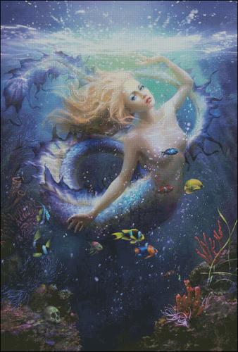 CMP 220445 Splash
