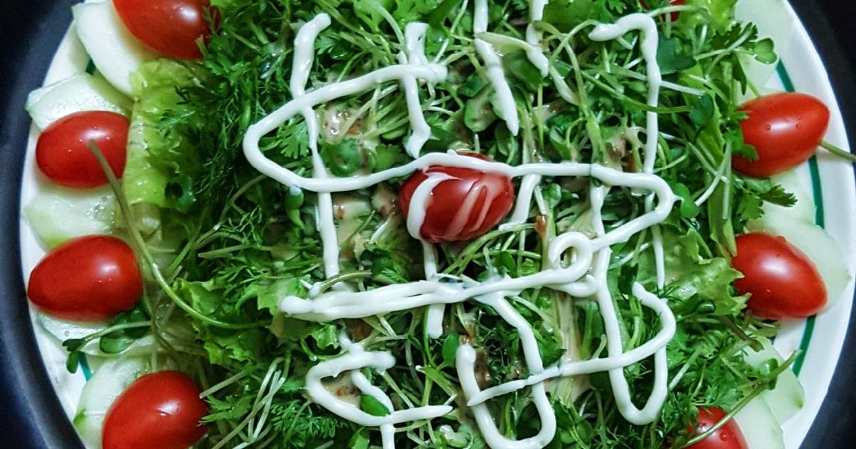Sa lát rau mầm