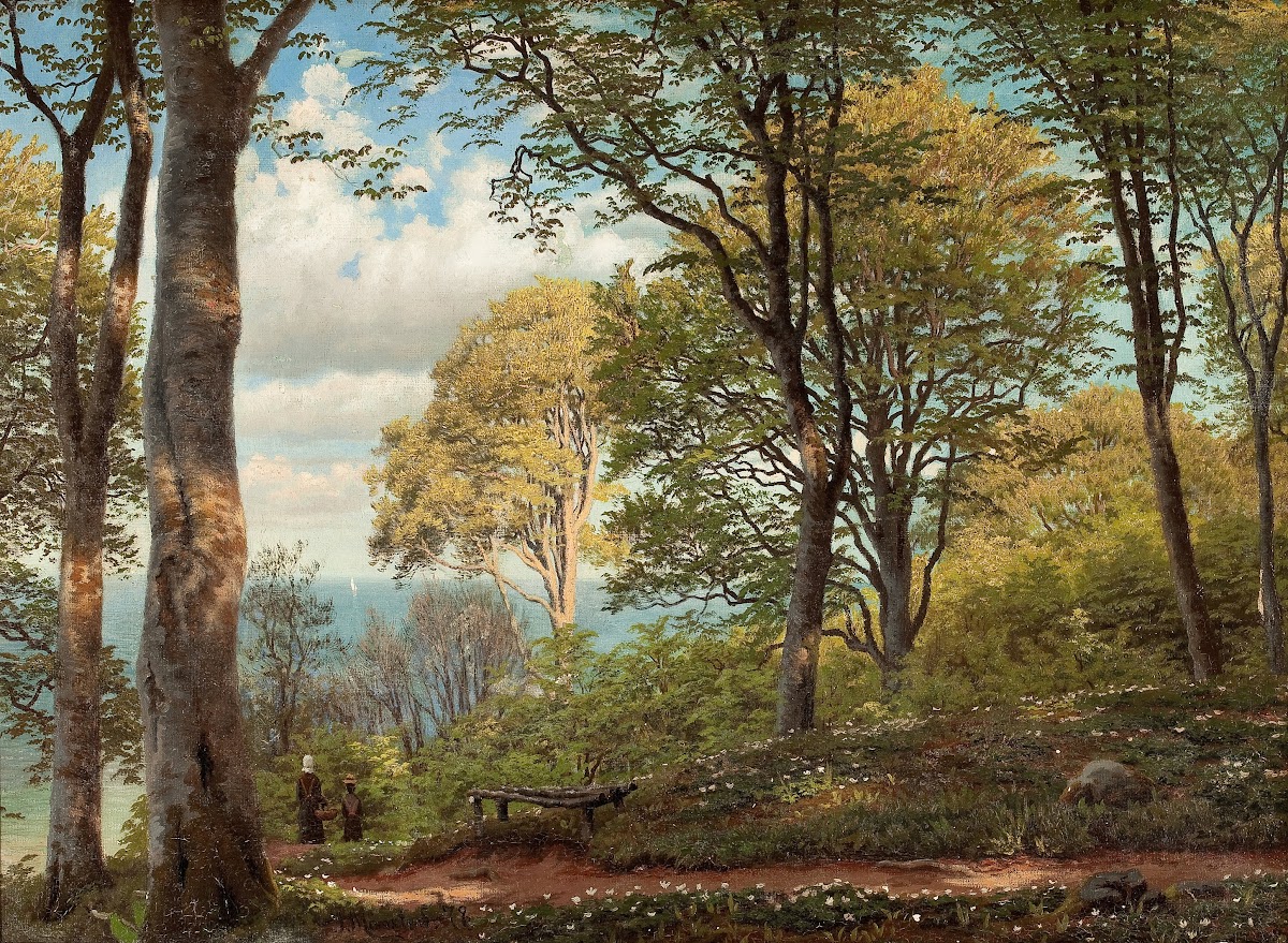 Road to New Battle 1879