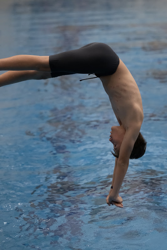 Photo from MS: Swim & Dive of Rece Evans